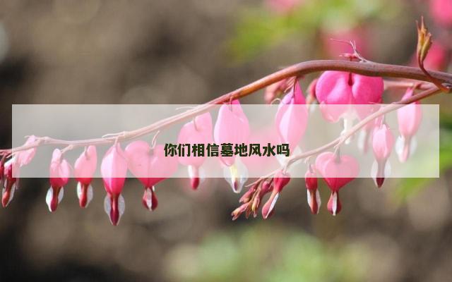 你们相信墓地风水吗