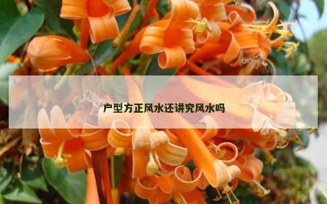 户型方正风水还讲究风水吗