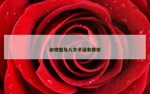 命理普及八字术语有哪些