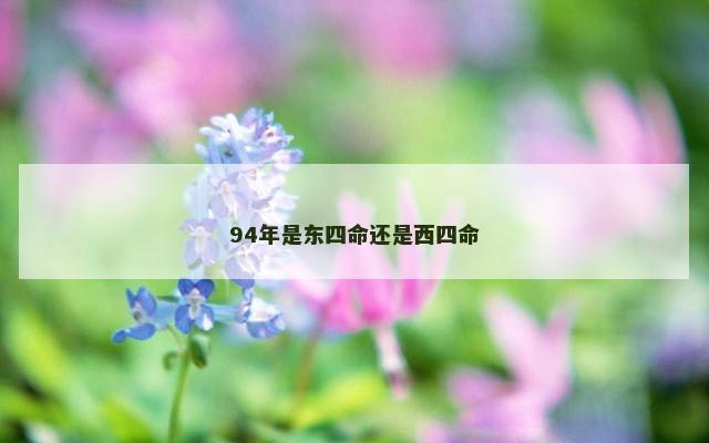 94年是东四命还是西四命