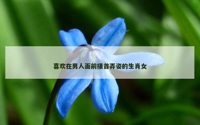 喜欢在男人面前搔首弄姿的生肖女