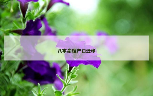 八字命理户口迁移