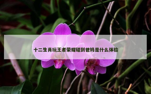 十二生肖玩王者荣耀碰到爸妈是什么体验