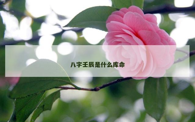 八字壬辰是什么库命