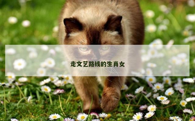 走文艺路线的生肖女