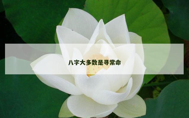 八字大多数是寻常命