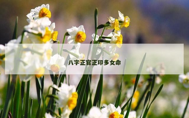 八字正官正印多女命