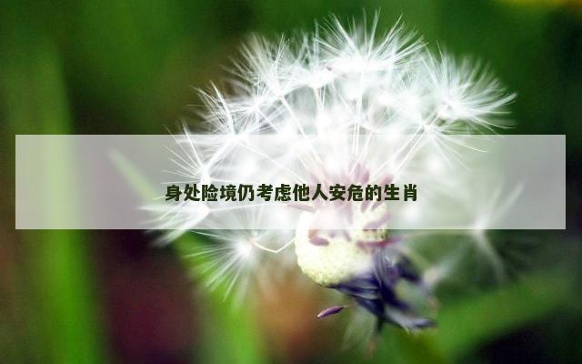身处险境仍考虑他人安危的生肖