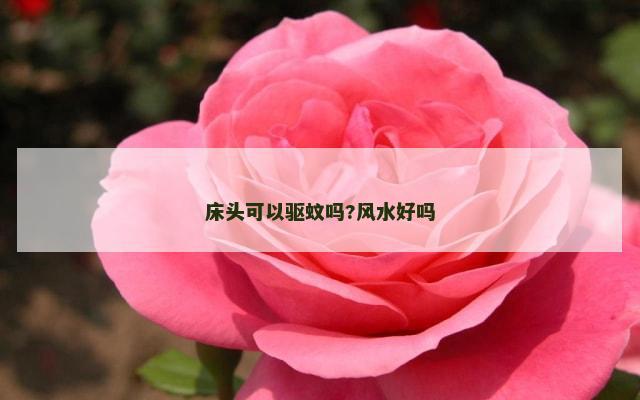 床头可以驱蚊吗?风水好吗