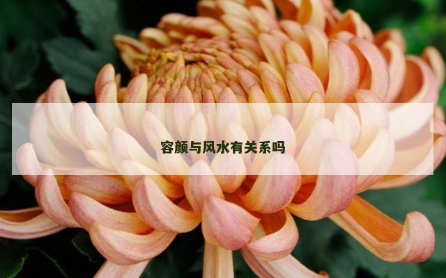 容颜与风水有关系吗