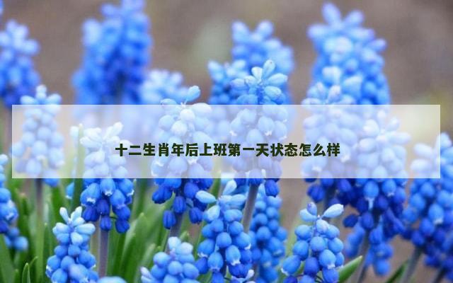 十二生肖年后上班第一天状态怎么样