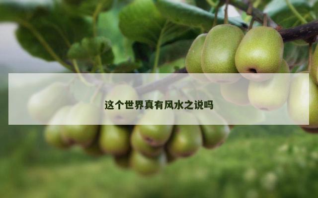 这个世界真有风水之说吗