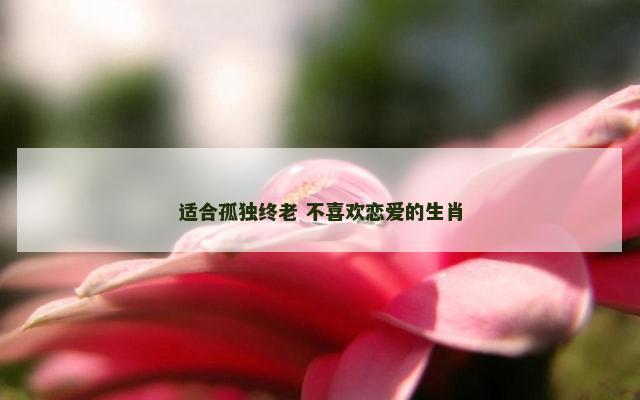 适合孤独终老 不喜欢恋爱的生肖