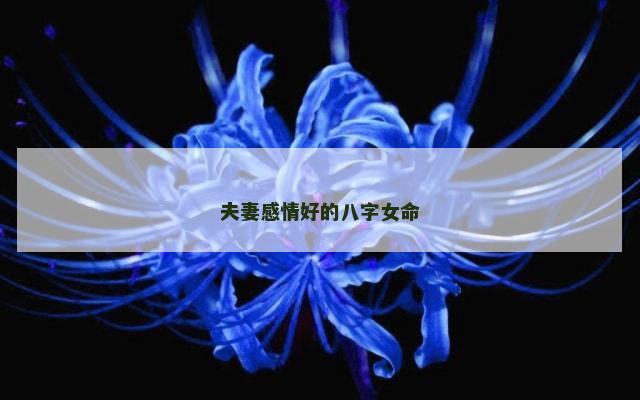 夫妻感情好的八字女命