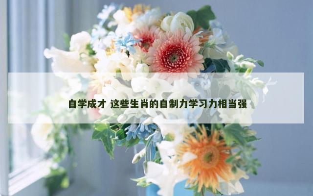 自学成才 这些生肖的自制力学习力相当强