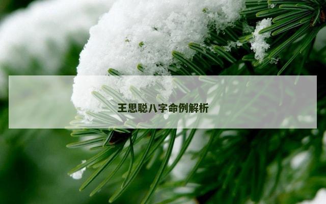 王思聪八字命例解析
