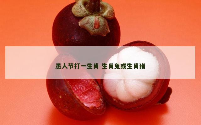 愚人节打一生肖 生肖兔或生肖猪