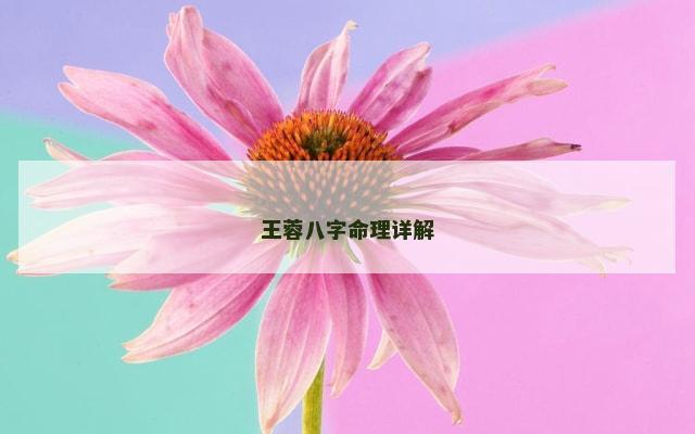王蓉八字命理详解