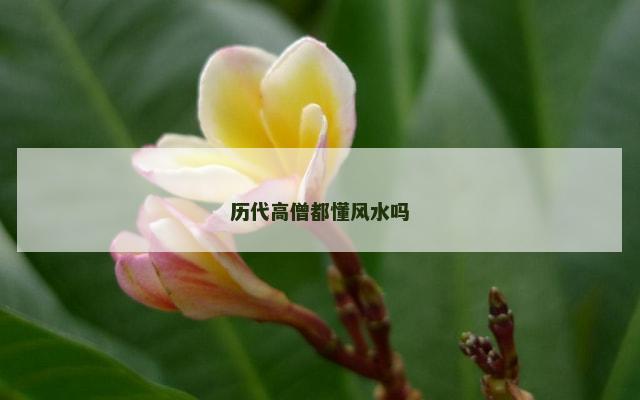 历代高僧都懂风水吗