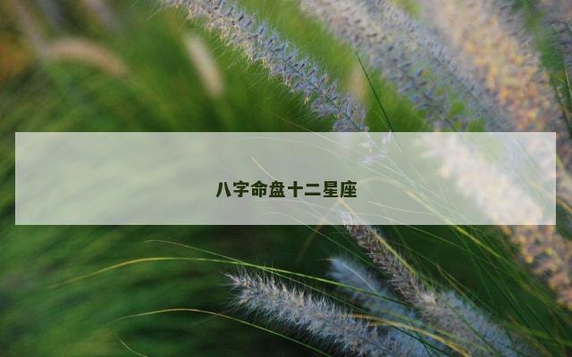 八字命盘十二星座