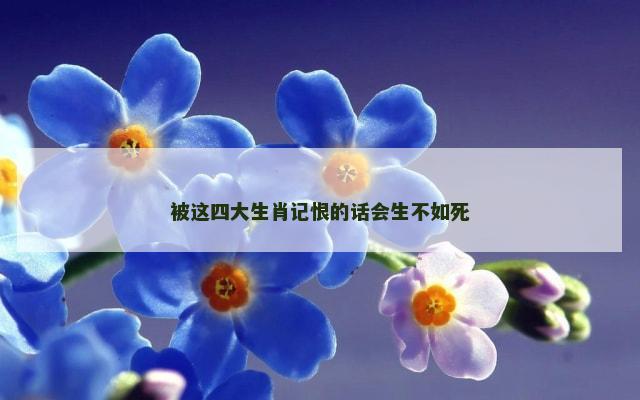 被这四大生肖记恨的话会生不如死
