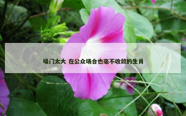 嗓门太大 在公众场合也毫不收敛的生肖