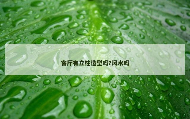 客厅有立柱造型吗?风水吗