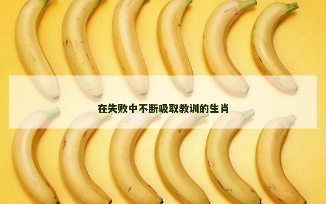在失败中不断吸取教训的生肖