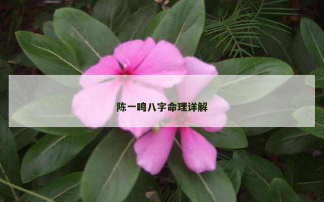 陈一鸣八字命理详解