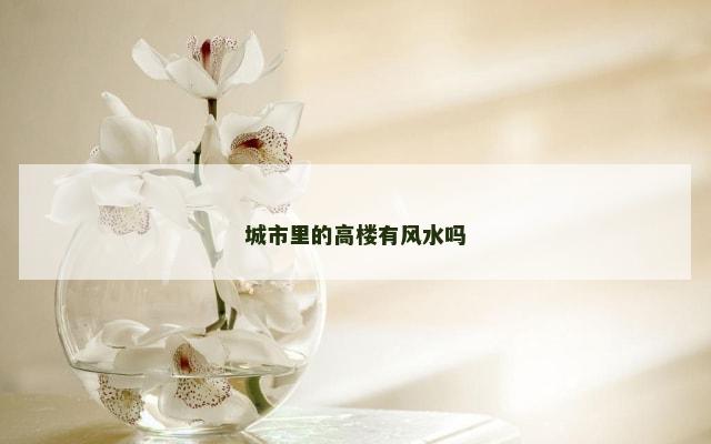 城市里的高楼有风水吗