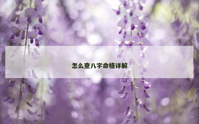 怎么查八字命格详解