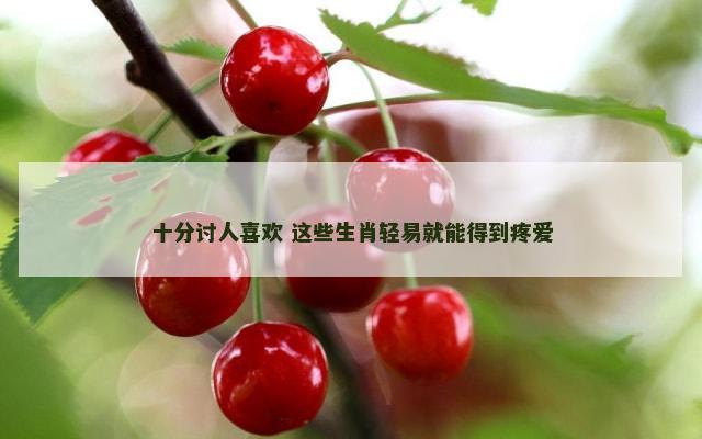 十分讨人喜欢 这些生肖轻易就能得到疼爱