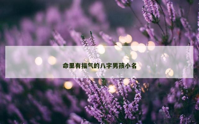 命里有福气的八字男孩小名