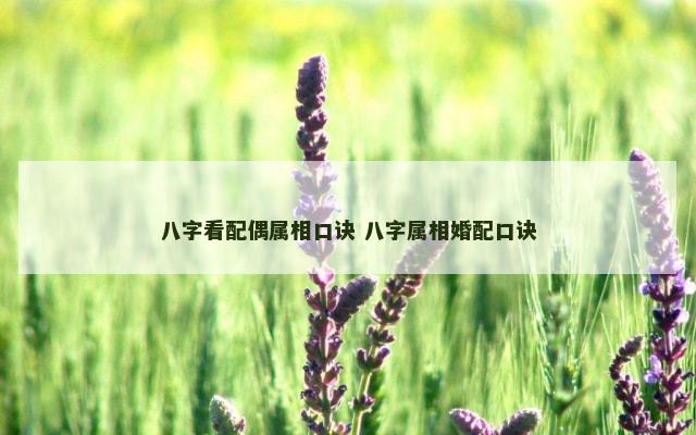 八字看配偶属相口诀 八字属相婚配口诀