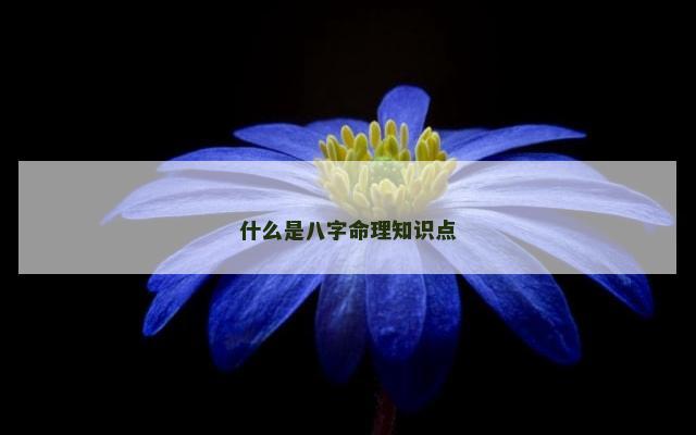 什么是八字命理知识点