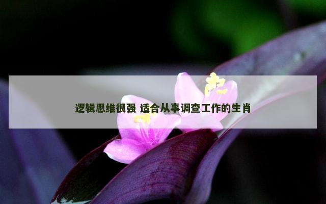 逻辑思维很强 适合从事调查工作的生肖