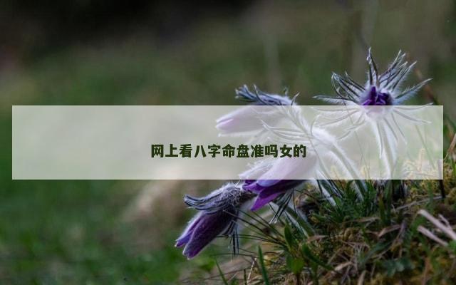 网上看八字命盘准吗女的