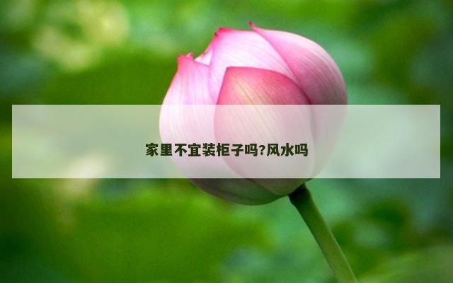 家里不宜装柜子吗?风水吗