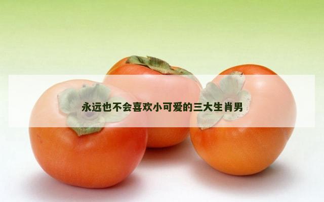 永远也不会喜欢小可爱的三大生肖男