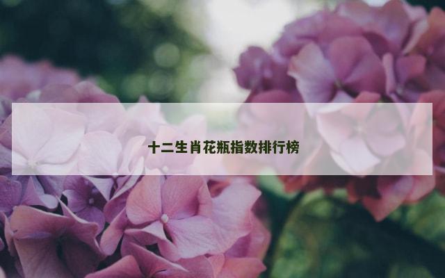 十二生肖花瓶指数排行榜