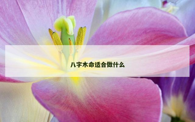 八字木命适合做什么