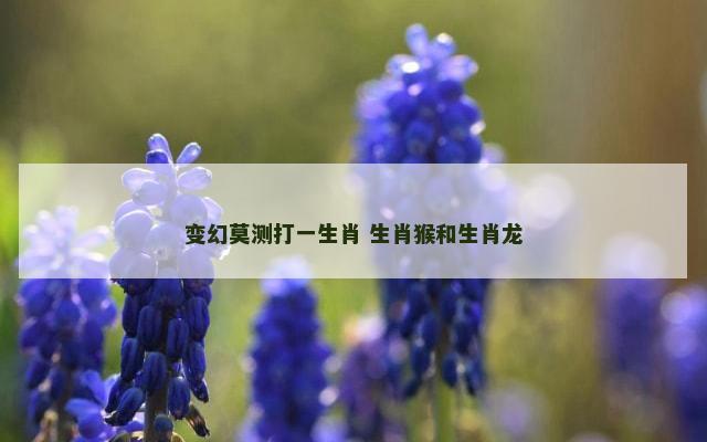 变幻莫测打一生肖 生肖猴和生肖龙