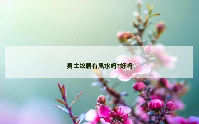 男士纹眉有风水吗?好吗