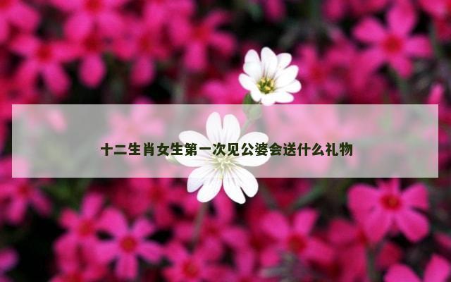 十二生肖女生第一次见公婆会送什么礼物