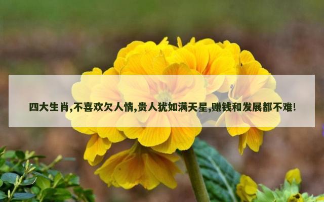 四大生肖,不喜欢欠人情,贵人犹如满天星,赚钱和发展都不难!