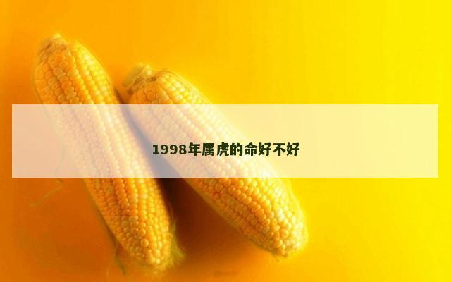1998年属虎的命好不好