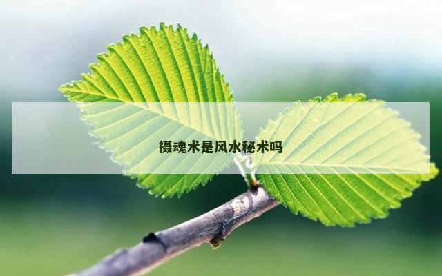 摄魂术是风水秘术吗
