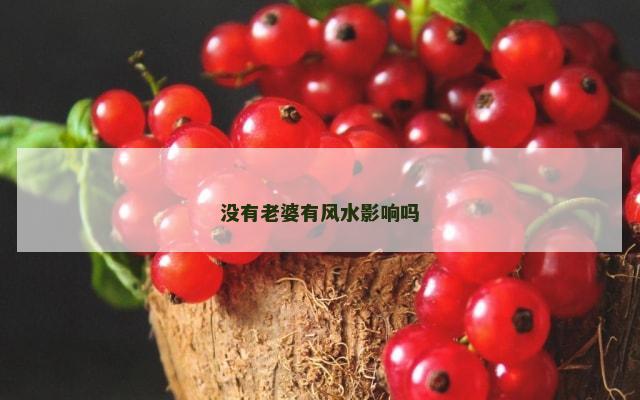 没有老婆有风水影响吗