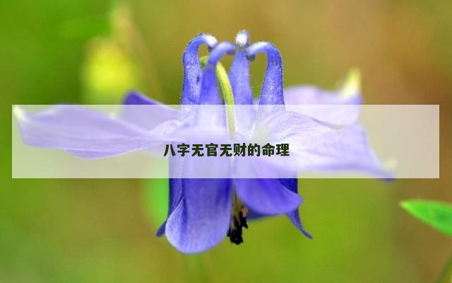 八字无官无财的命理