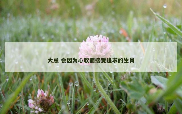 大忌 会因为心软而接受追求的生肖